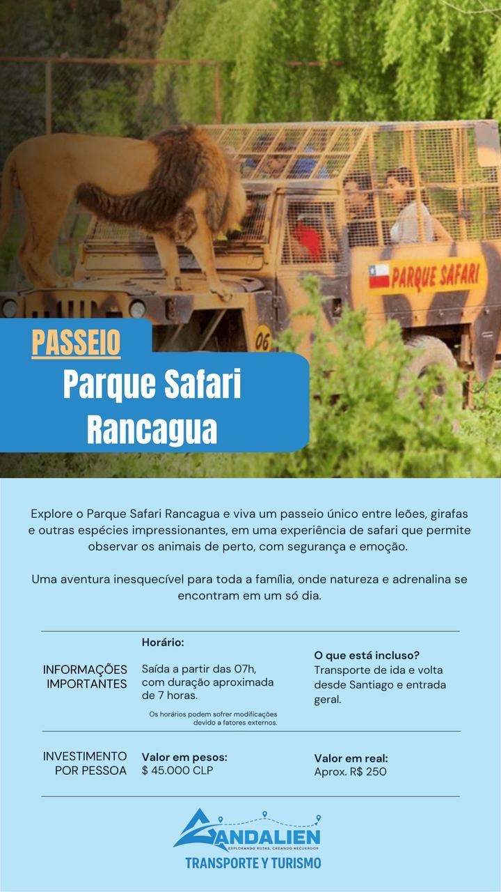 Leão próximo a um veículo do Parque Safari